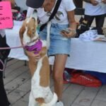 WhatsApp Image 2026-03-15 at 12.39.52