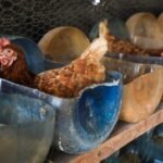 WhatsApp Image 2026-03-28 at 15.46.40 (2)